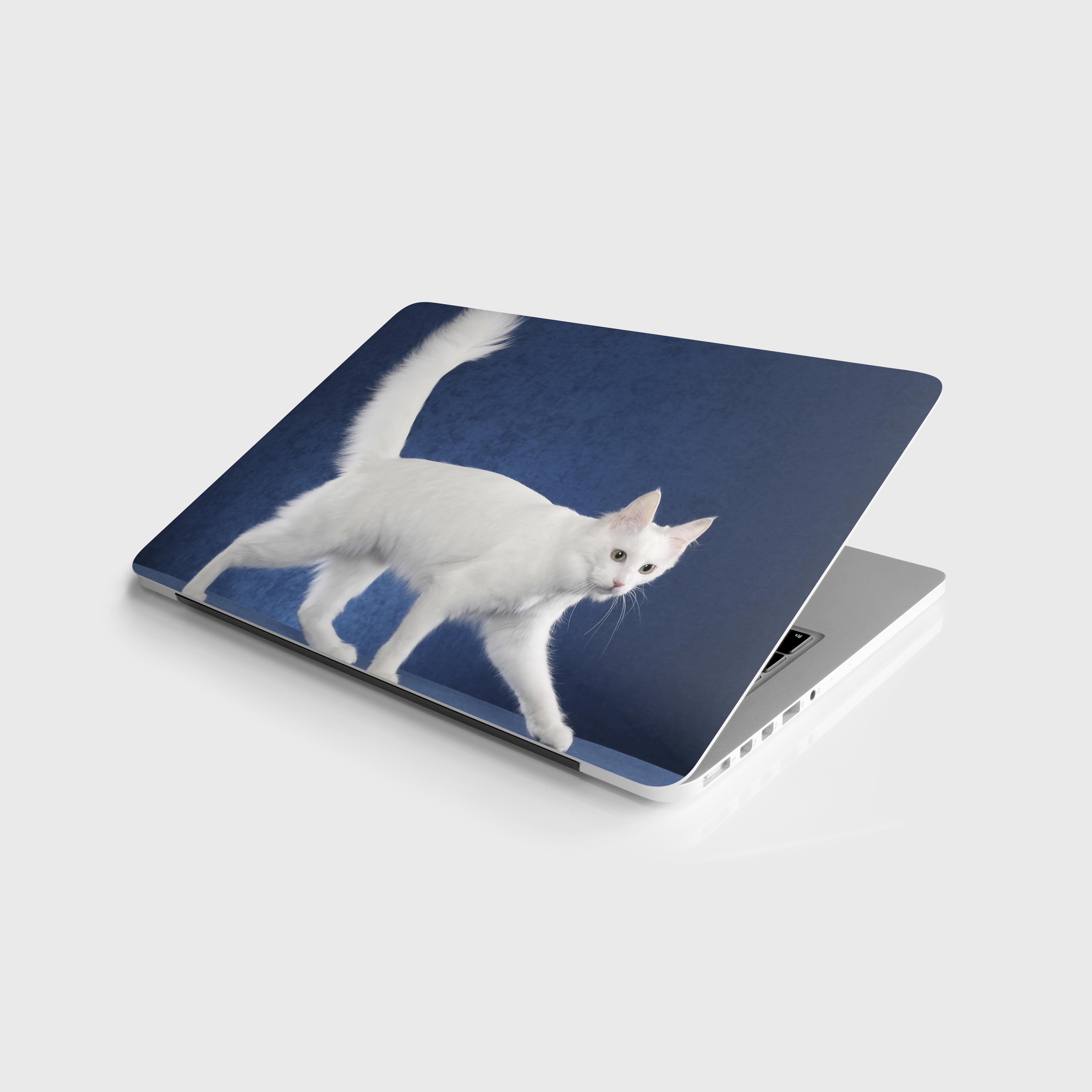 Laptop%20Sticker%20Notebook%20Pc%20Kaplama%20Etiketi%20Beyaz%20Kedi